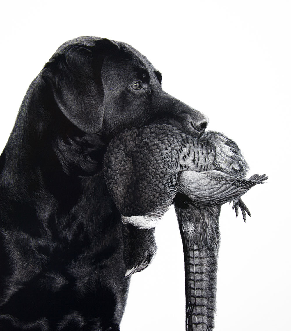 Keith-Sykes-Labrador-&-Pheasant