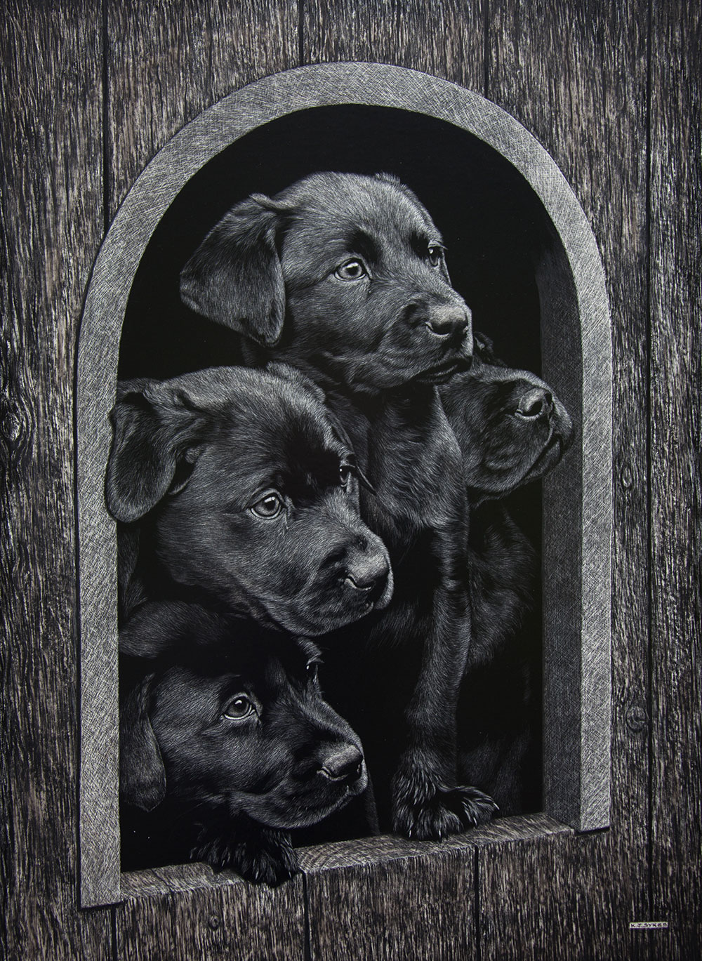 Keith-Sykes-Labrador-Puppies
