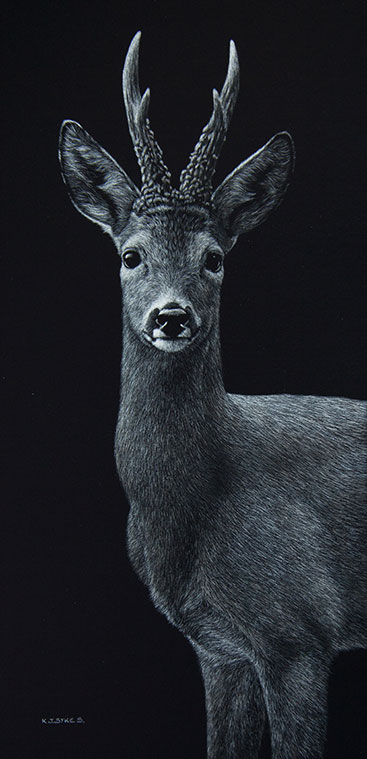 Keith-Sykes-Roe-Buck