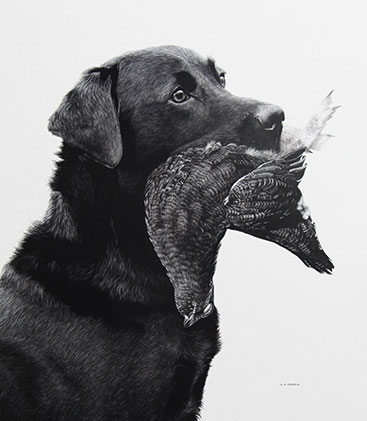 Labrador-&-Grouse