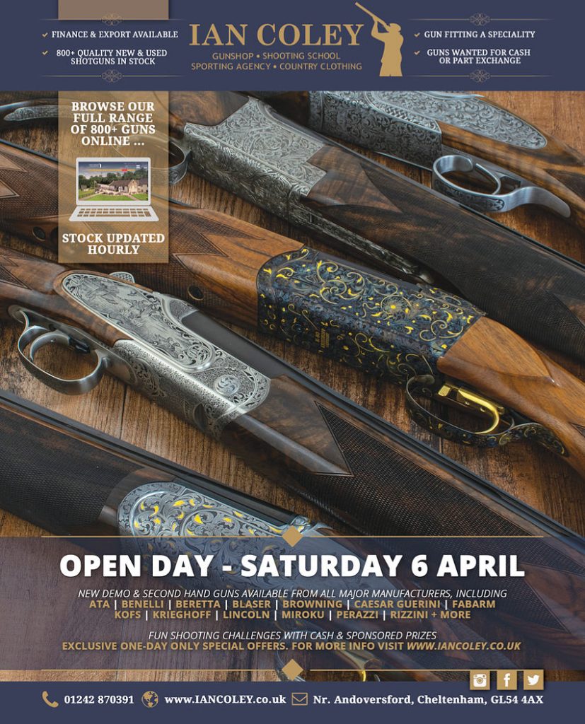 1904 Clay Shooter
