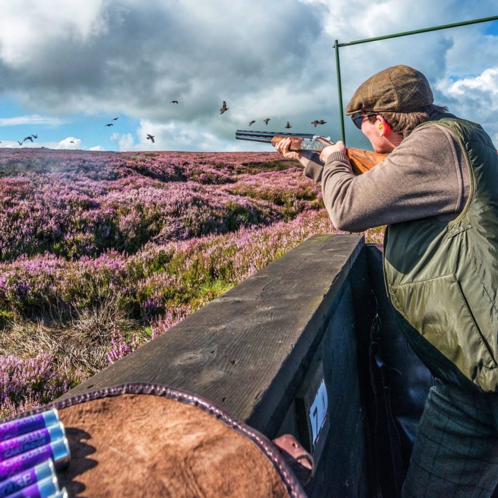 Grouse